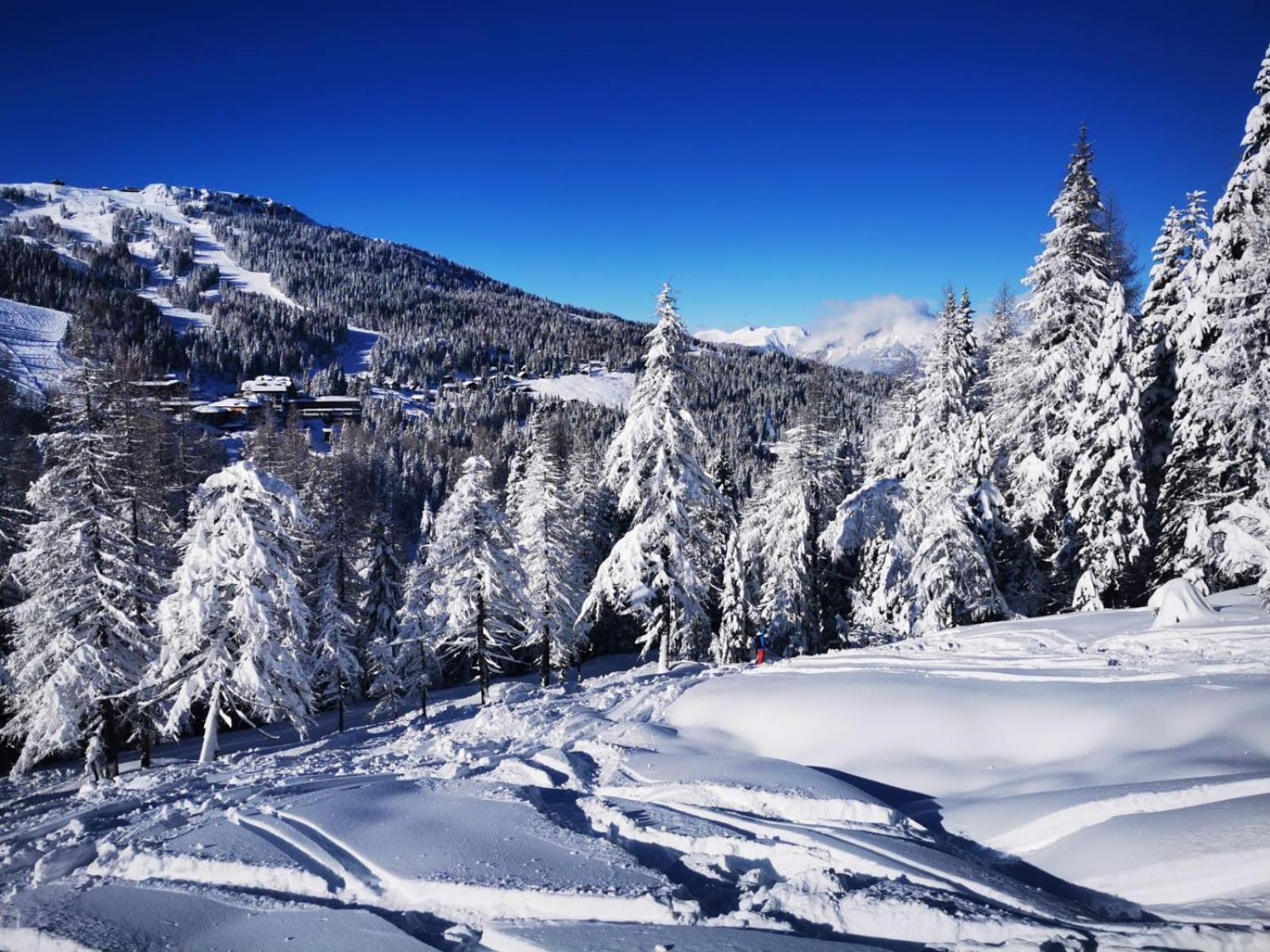 Naturgut Gailtal Sankt Stefan an der Gail エクステリア 写真